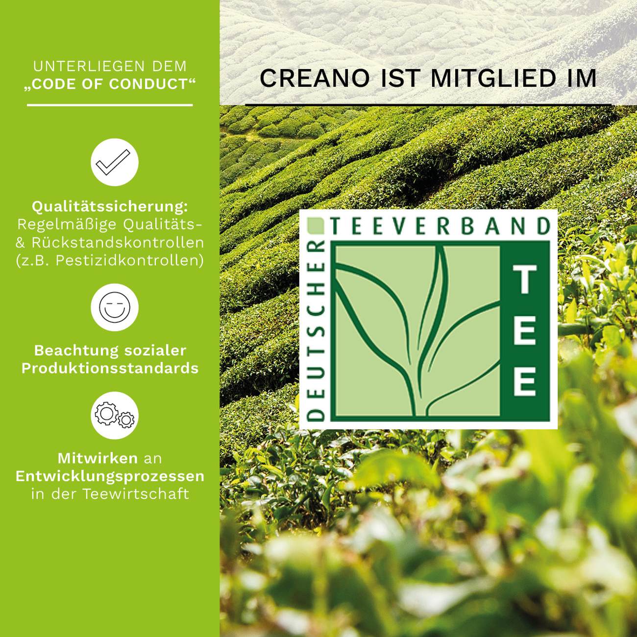 creano-erbl-hteelini-gr-n-36er-packung-teekugeln image 5