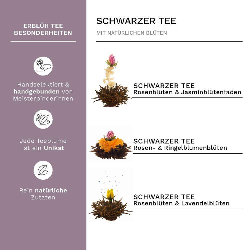 creano-erbl-htee-schwarztee-6er-set-mit-glaskanne-geschenk image 3