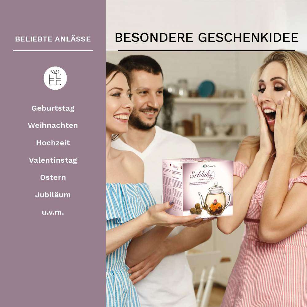 creano-erbl-htee-schwarztee-6er-set-mit-glaskanne-geschenk image 7