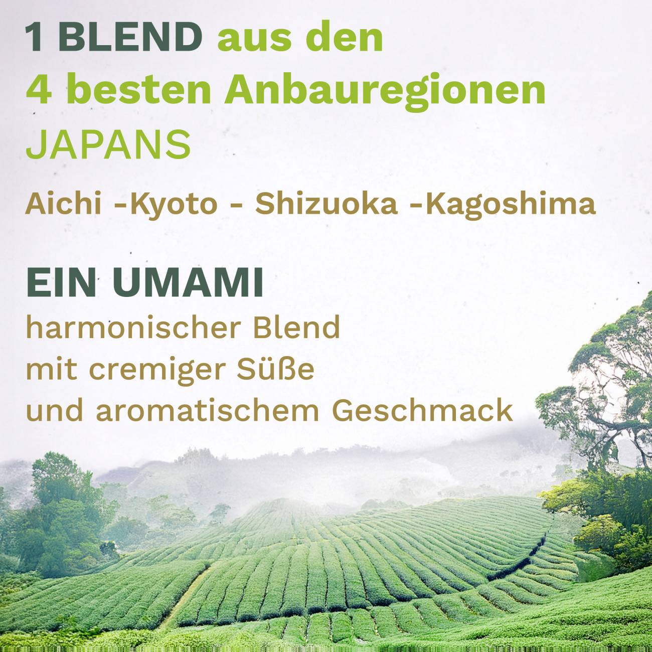 creano-bio-matcha-ceremonial-50g-dose-japan-blend image 3