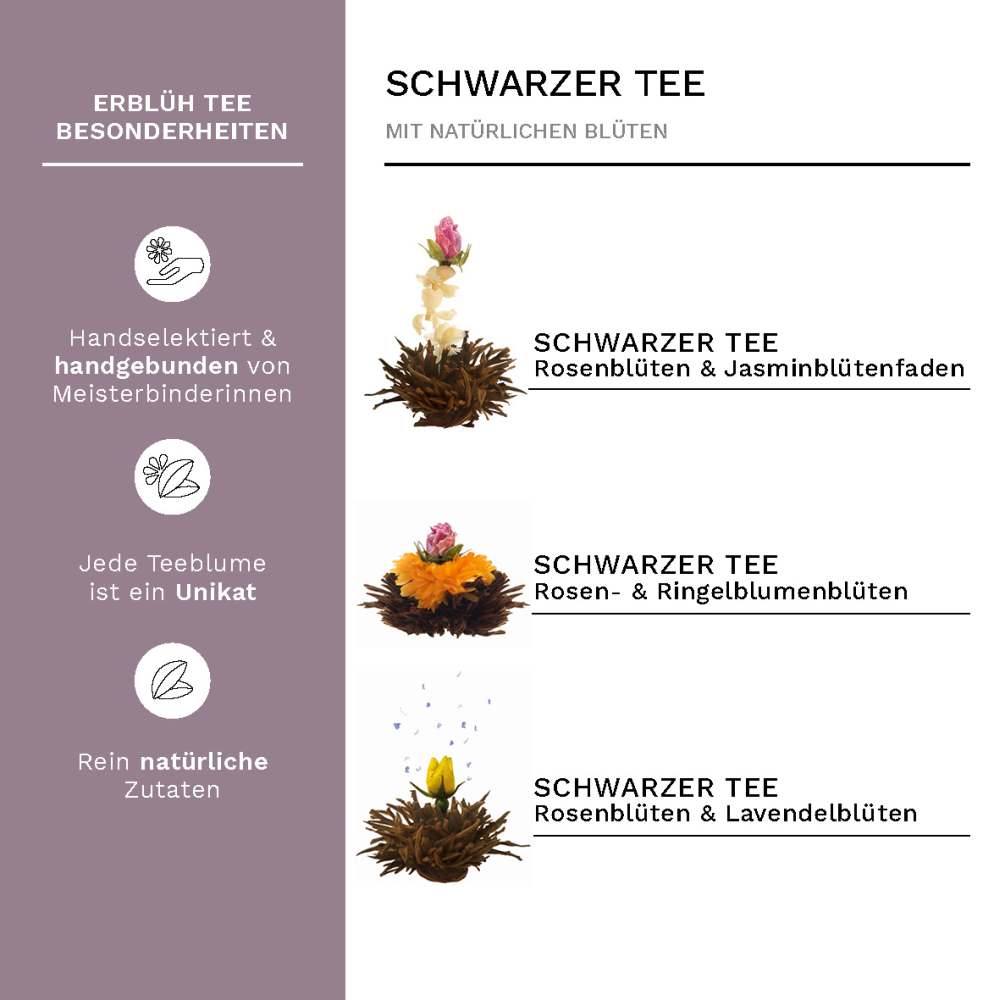 creano-erbl-htee-schwarztee-geschenkset-6er-kanne-500ml image 4