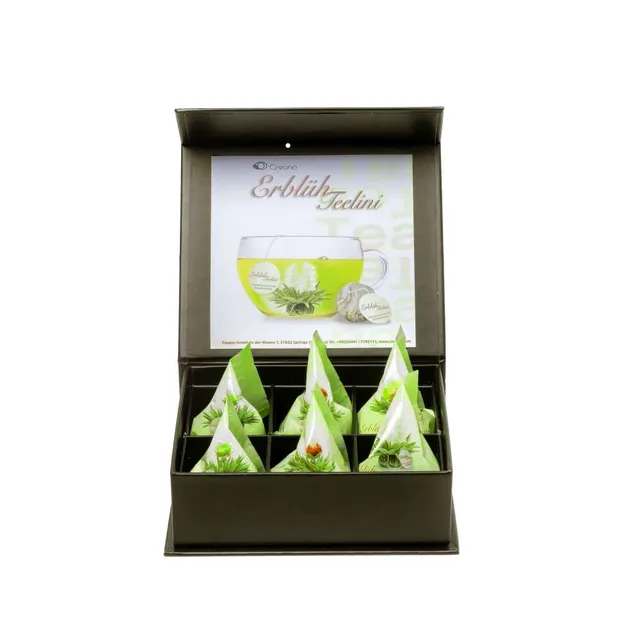 creano-erbl-hteelini-gr-ntee-bl-tentee-6er-magnetbox-mix image 1