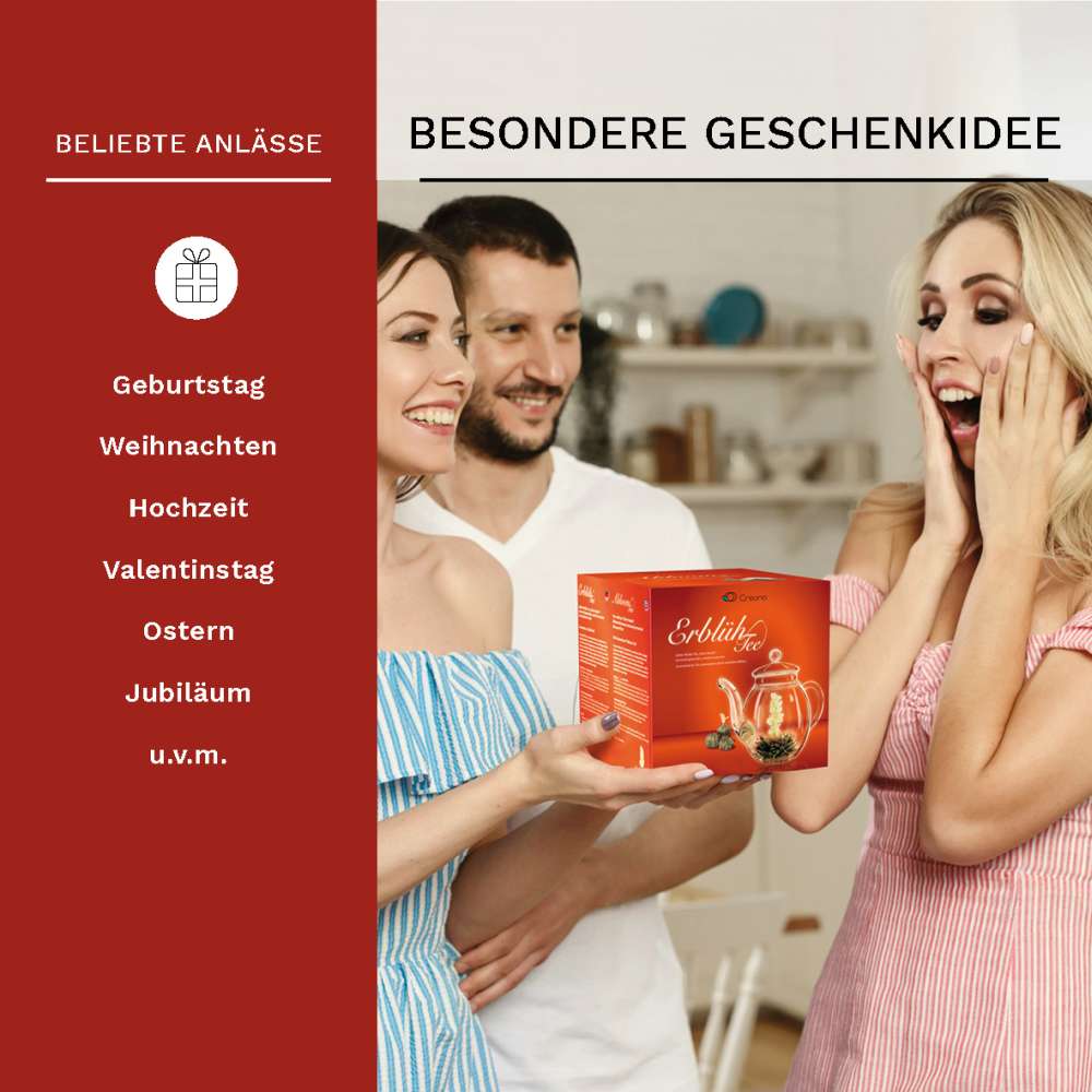 creano-erbl-htee-wei-tee-teeblume-6er-set-weihnachten image 7