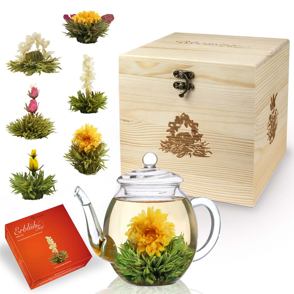 creano-erbl-htee-wei-tee-6er-set-mit-kanne-500ml image 1