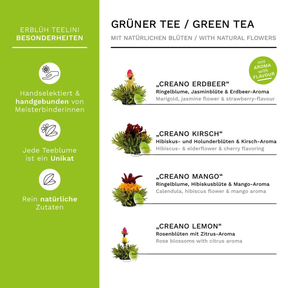 creano-erbl-hteelini-gr-ntee-bl-tentee-6er-magnetbox-mix image 3
