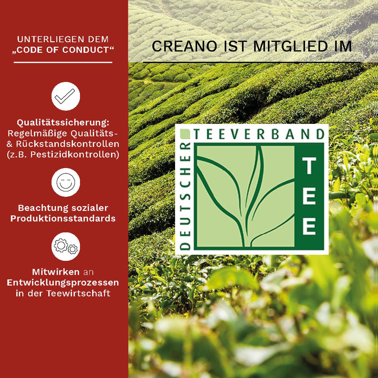 creano-erbl-htee-thermoglas-bauchig-400ml-doppelwandig-mit-teeblume image 6