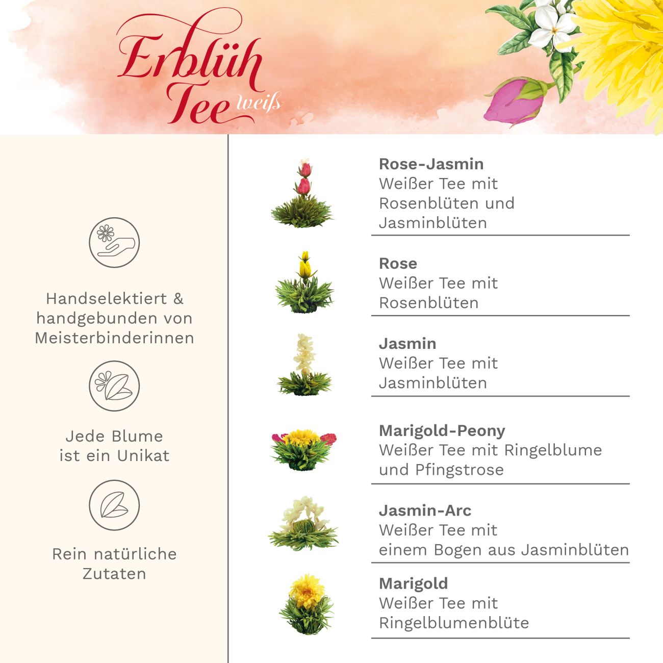 creano-erbl-htee-teeblumen-geschenkset-glaskanne-wei-tee-6er image 4
