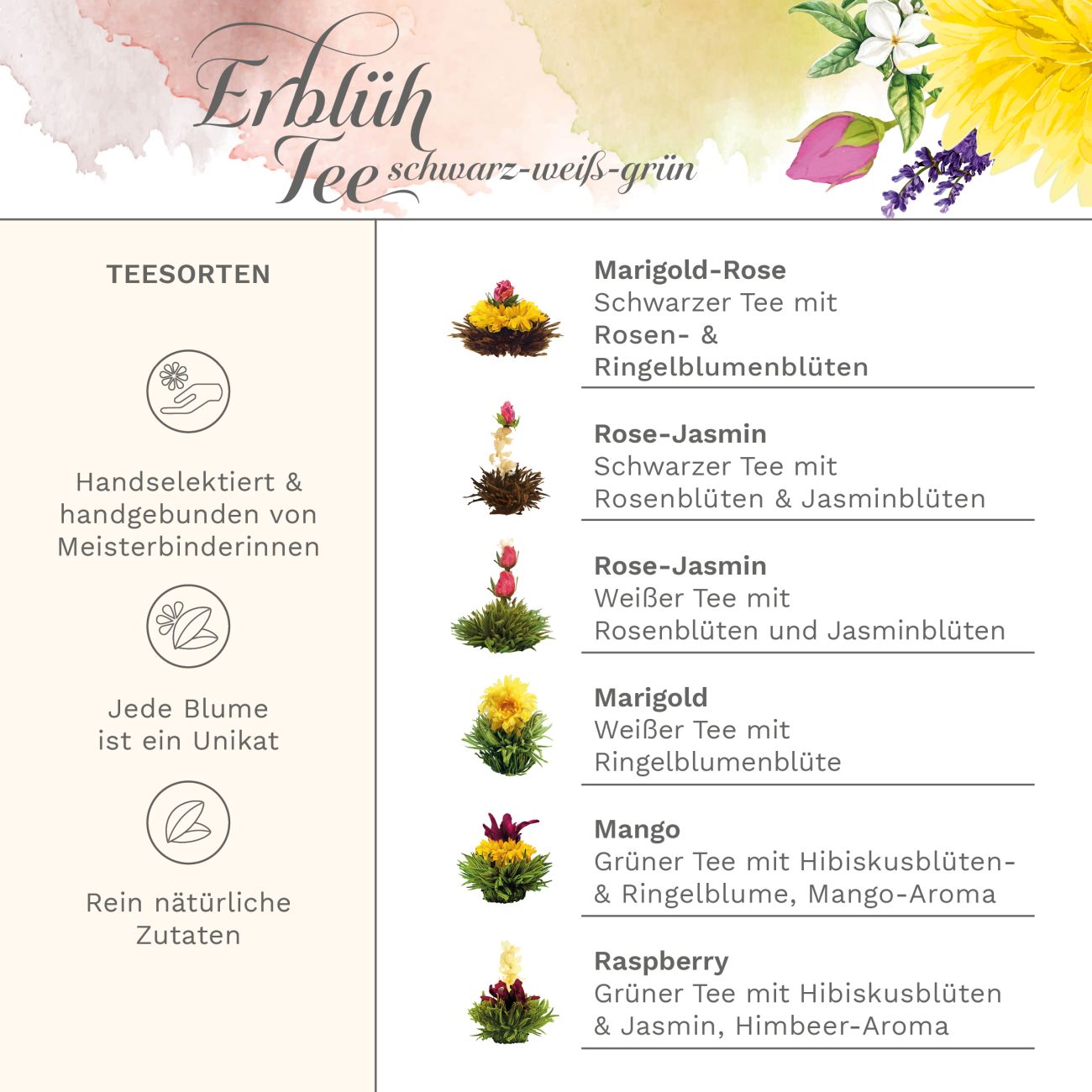 creano-erbl-htee-mix-teeblumen-6er-set-mit-glaskanne image 3