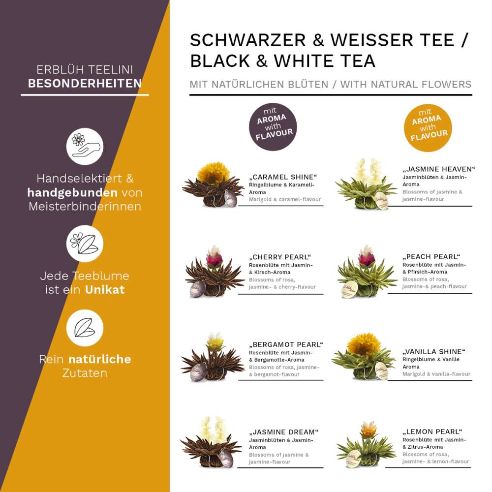 creano-erbl-hteelini-tee-12er-wei-schwarz-holzbox-mix image 6